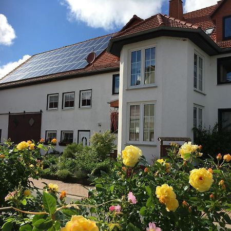 Gallowayhof Am Edersee Vöhl Exterior foto